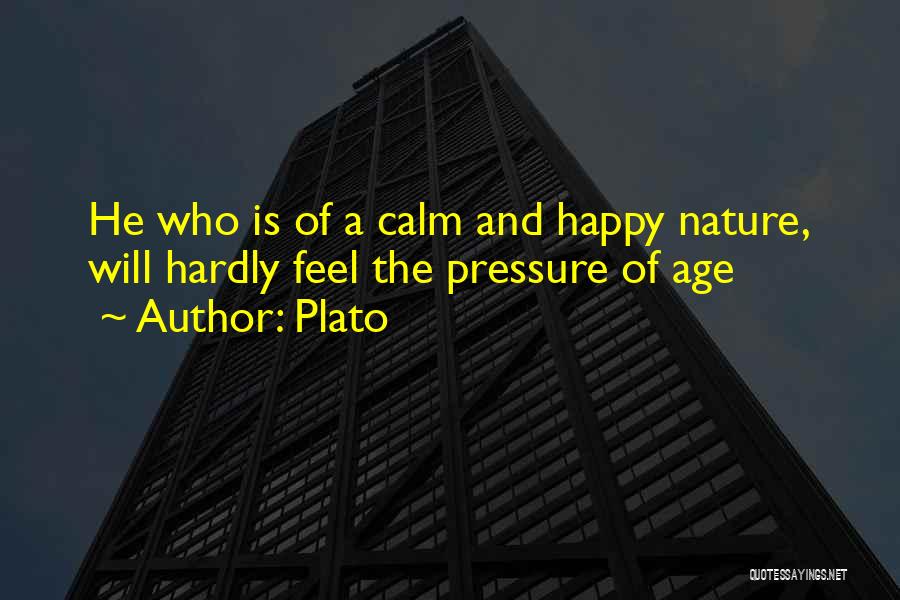 Calm Under Pressure Quotes By Plato