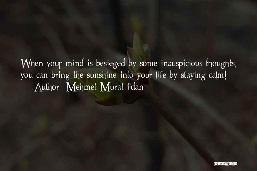 Calm Your Mind Quotes By Mehmet Murat Ildan