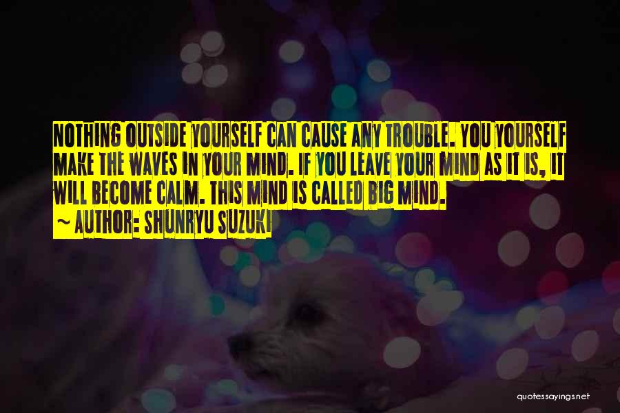 Calm Your Mind Quotes By Shunryu Suzuki