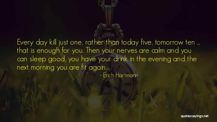 Calm Your Nerves Quotes By Erich Hartmann