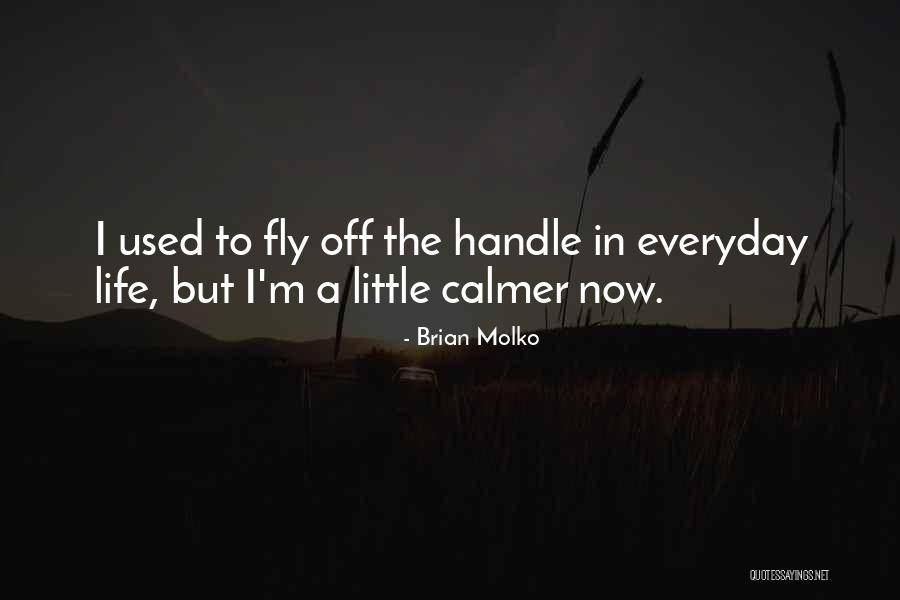 Calmer Life Quotes By Brian Molko