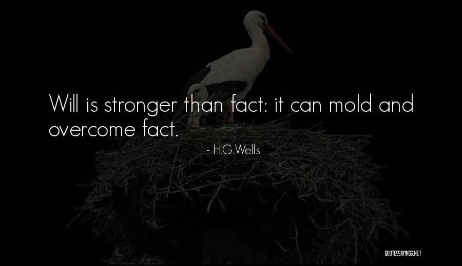 Calmete Quotes By H.G.Wells Calmete Quotes By H.G.Wells