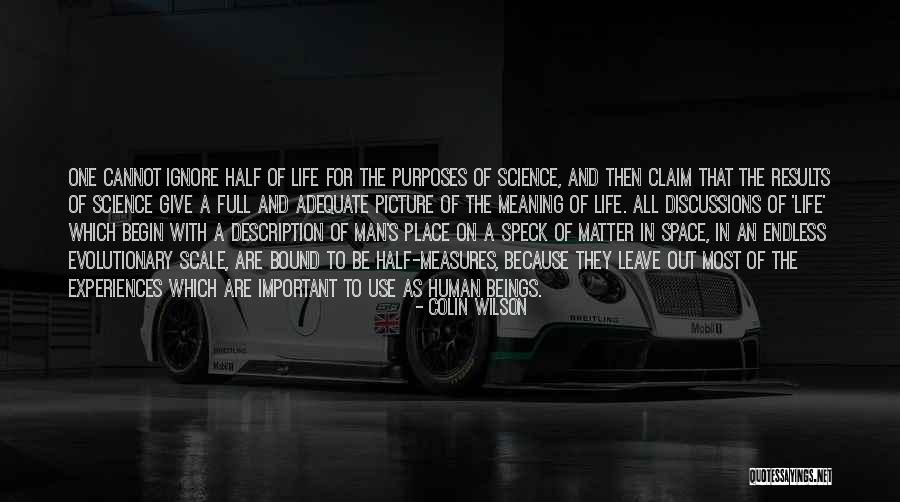 Calming And Attitude Quotes By Colin Wilson Calming And Attitude Quotes By Colin Wilson