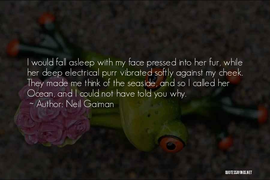 Calming Ocean Quotes By Neil Gaiman