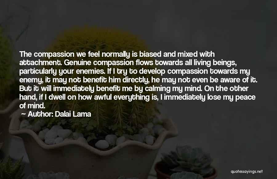 Calming The Mind Quotes By Dalai Lama