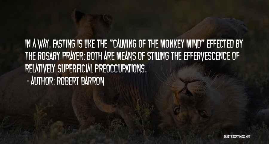 Calming The Mind Quotes By Robert Barron