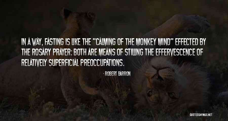 Calming The Mind Quotes By Robert Barron Calming The Mind Quotes By Robert Barron