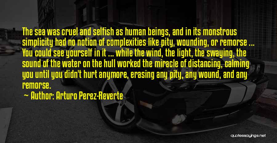 Calming Water Quotes By Arturo Perez-Reverte