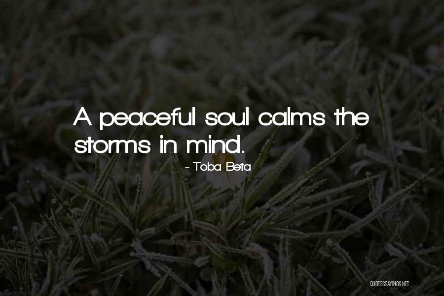 Calming Your Mind Quotes By Toba Beta