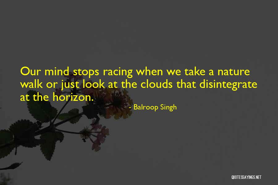 Calmness And Serenity Quotes By Balroop Singh