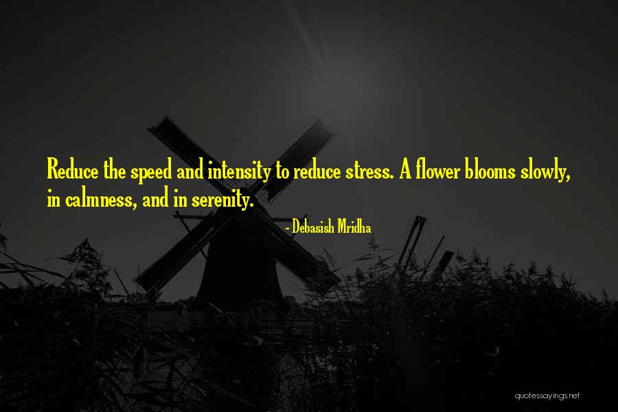 Calmness And Serenity Quotes By Debasish Mridha