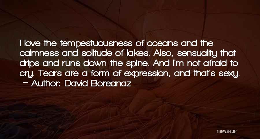 Calmness Of The Ocean Quotes By David Boreanaz