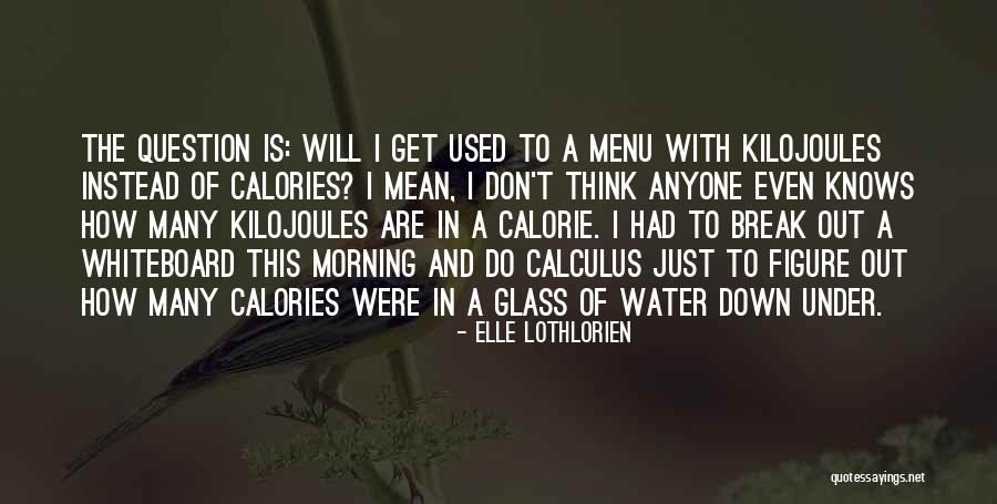 Calorie Quotes By Elle Lothlorien