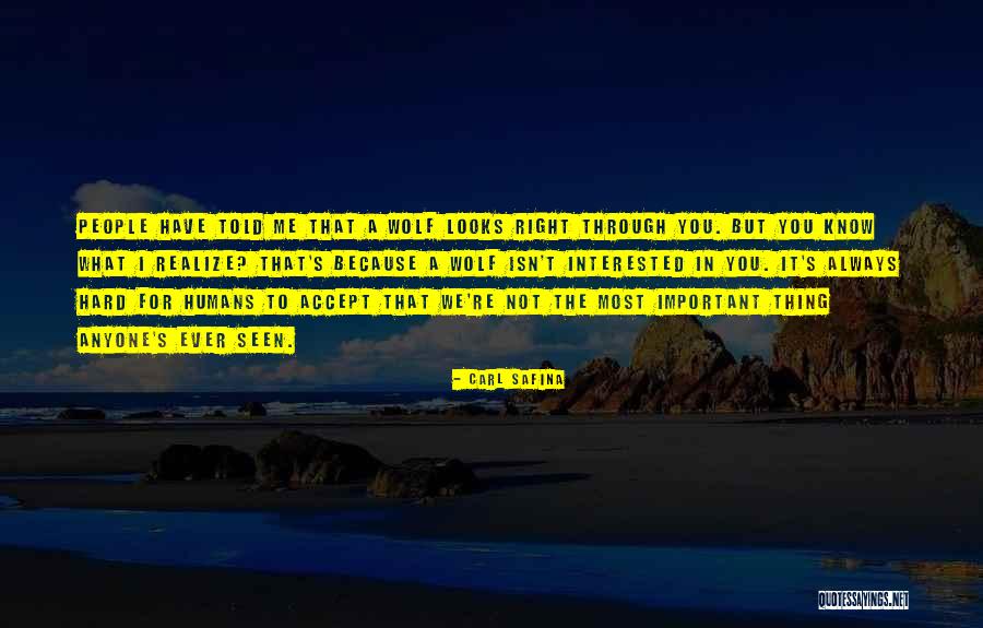 Calormen Narnia Quotes By Carl Safina Calormen Narnia Quotes By Carl Safina