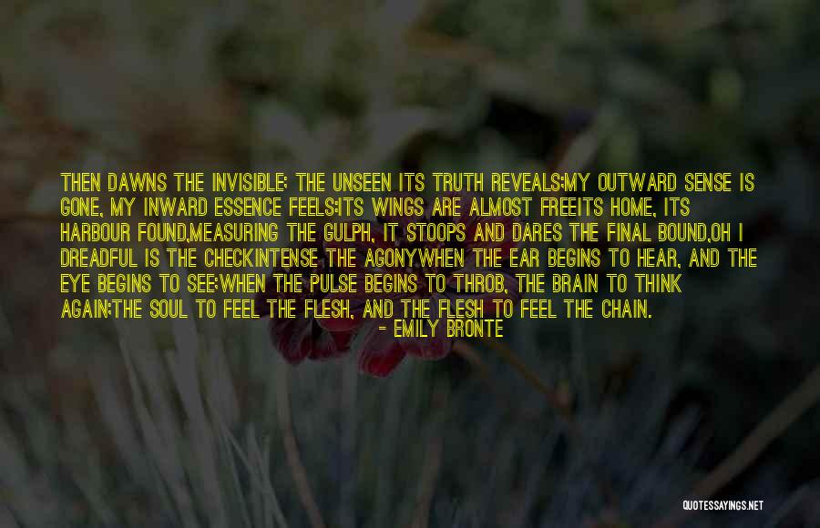 Caltrop Plant Quotes By Emily Bronte Caltrop Plant Quotes By Emily Bronte