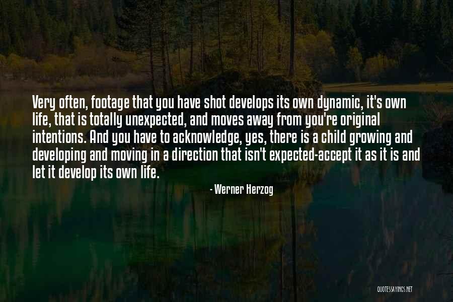 Calvanicos Italian Quotes By Werner Herzog Calvanicos Italian Quotes By Werner Herzog