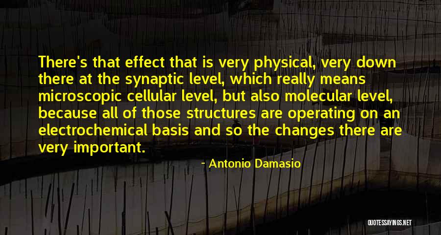 Calvano Leather Quotes By Antonio Damasio Calvano Leather Quotes By Antonio Damasio