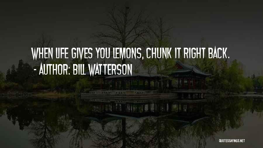 Calvin And Hobbes Quotes By Bill Watterson