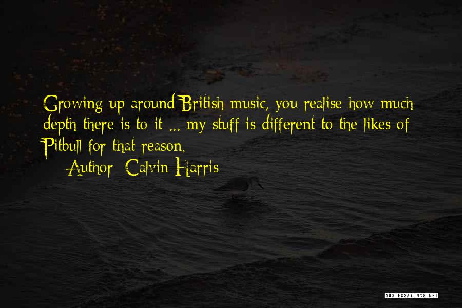 Calvin Harris Quotes 1752355