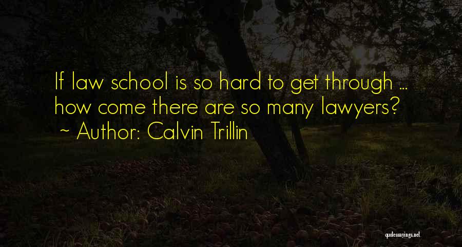 Calvin Trillin Quotes 1858527