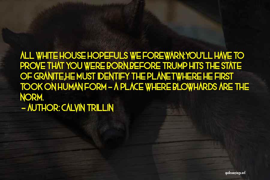 Calvin Trillin Quotes 951193