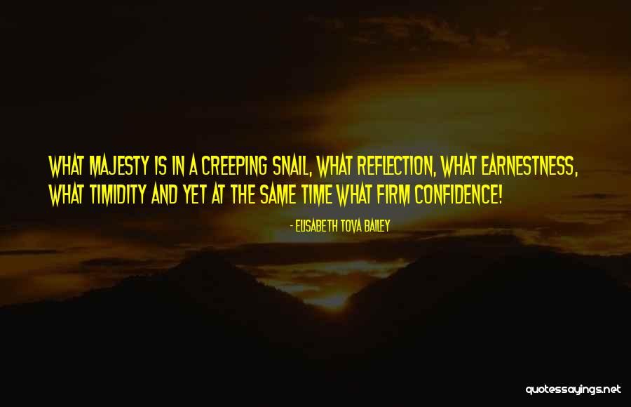 Calvinist Churches Quotes By Elisabeth Tova Bailey Calvinist Churches Quotes By Elisabeth Tova Bailey