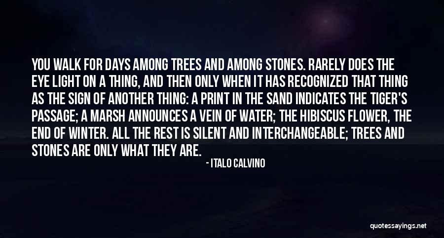 Calvino Quotes By Italo Calvino