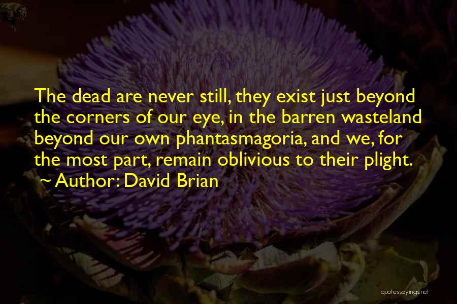 Calyxar Quotes By David Brian