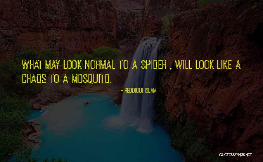 Calzas De Mujer Quotes By Reddioui Islam Calzas De Mujer Quotes By Reddioui Islam