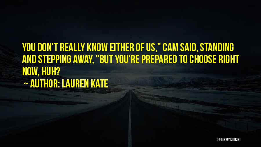 Cam And Luce Quotes By Lauren Kate
