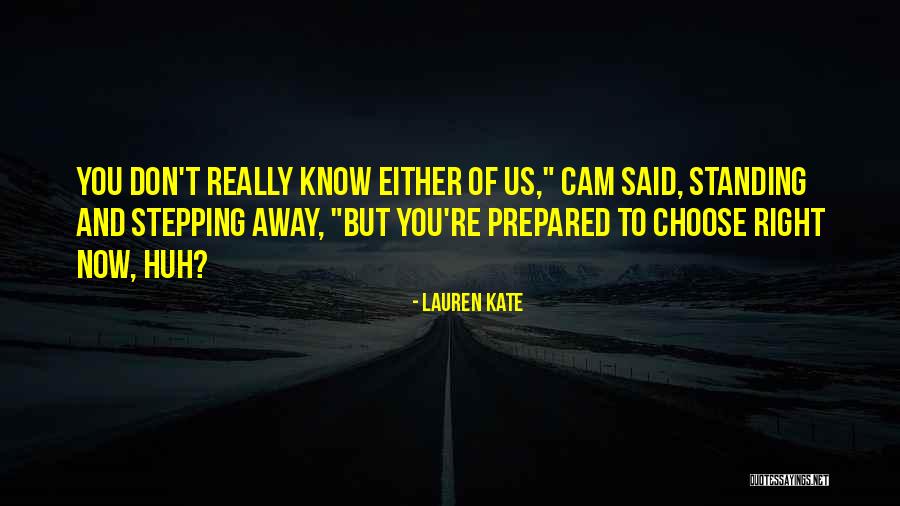 Cam And Luce Quotes By Lauren Kate