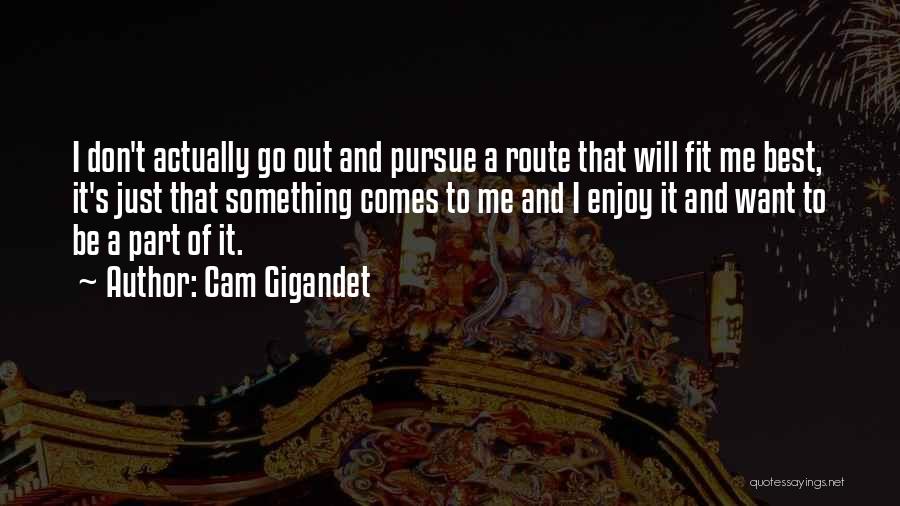 Cam Gigandet Quotes 1868772