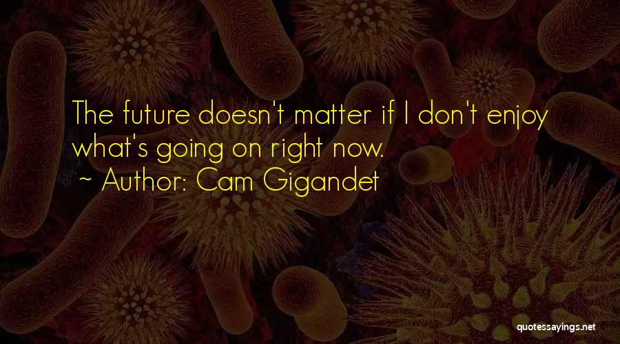 Cam Gigandet Quotes 2068843