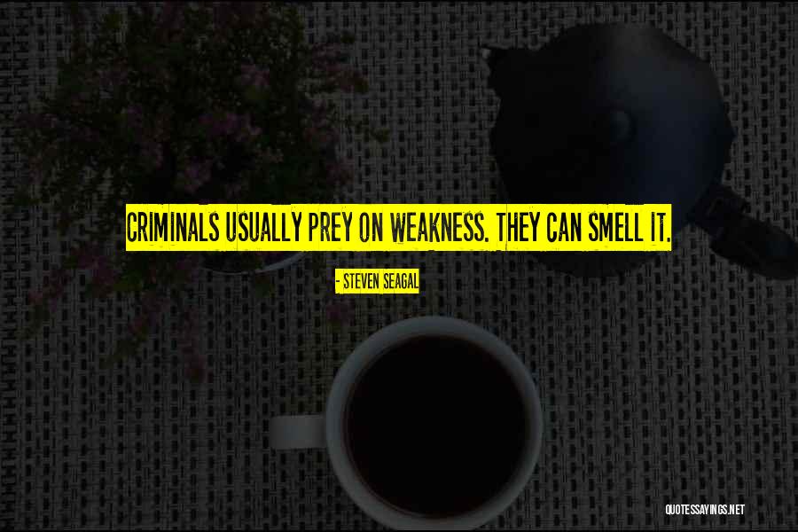 Camadas Internas Quotes By Steven Seagal Camadas Internas Quotes By Steven Seagal
