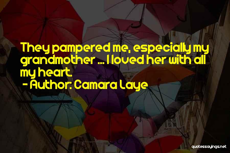 Camara Laye Quotes 1616451