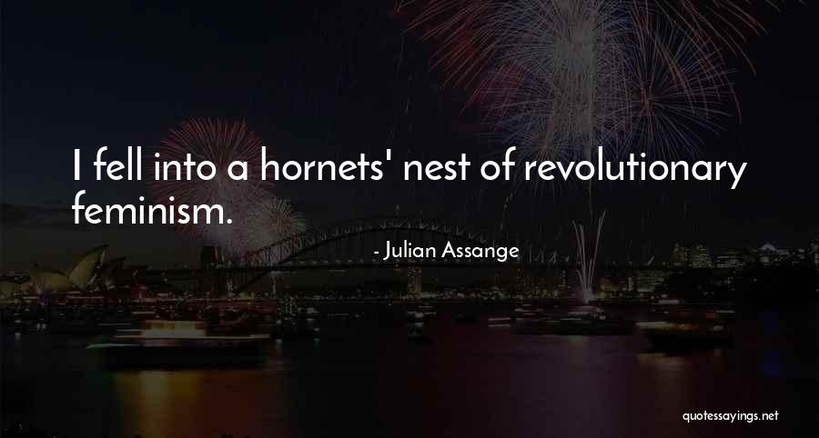 Cambrian Quotes By Julian Assange Cambrian Quotes By Julian Assange