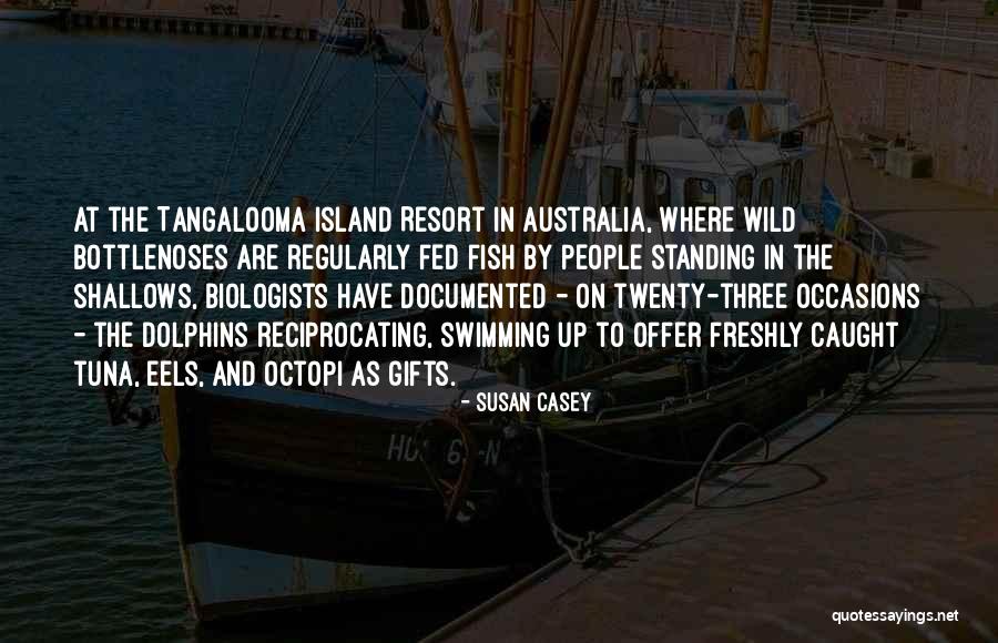 Cambrils Primera Quotes By Susan Casey Cambrils Primera Quotes By Susan Casey