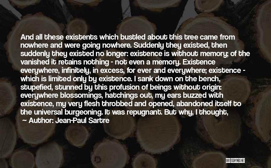 Came From Nowhere Quotes By Jean-Paul Sartre