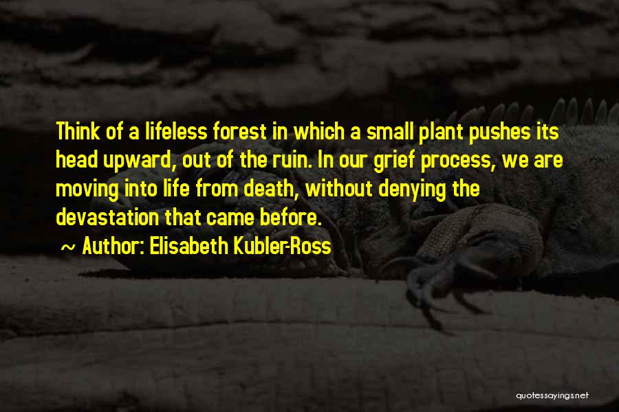 Came From Quotes By Elisabeth Kubler-Ross