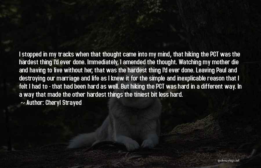 Came Into My Life Quotes By Cheryl Strayed