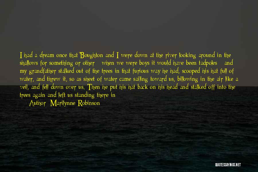 Came Into My Life Quotes By Marilynne Robinson