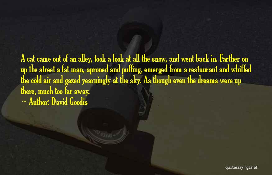 Came Too Far Quotes By David Goodis