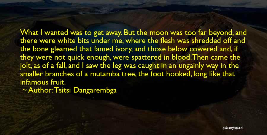 Came Too Far Quotes By Tsitsi Dangarembga