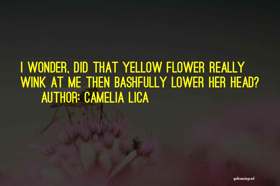 Camelia Lica Quotes 1885785