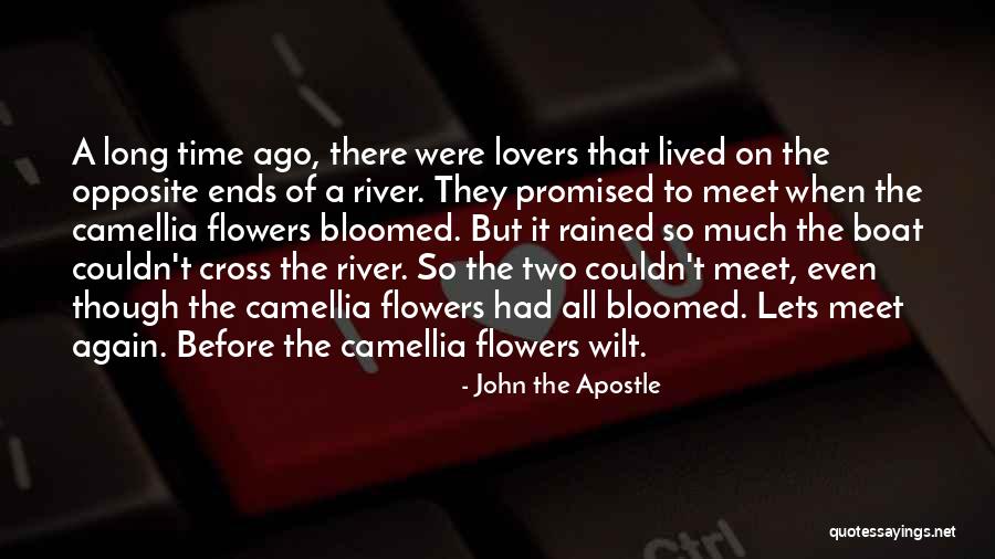 Camellia Flowers Quotes By John The Apostle Camellia Flowers Quotes By John The Apostle