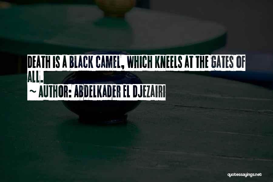 Camels Quotes By Abdelkader El Djezairi