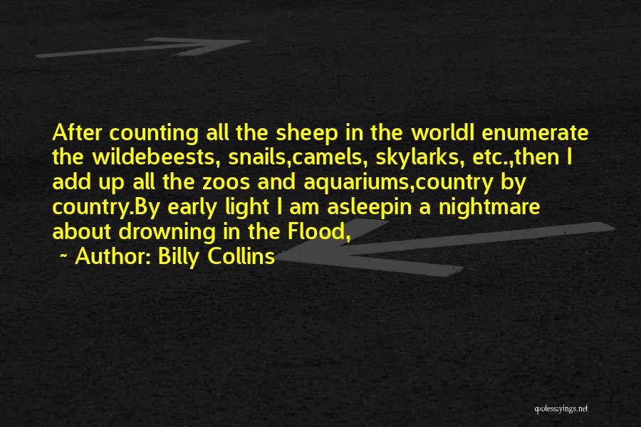 Camels Quotes By Billy Collins