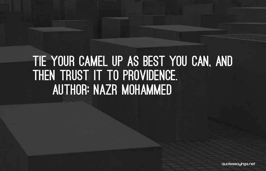 Camels Quotes By Nazr Mohammed