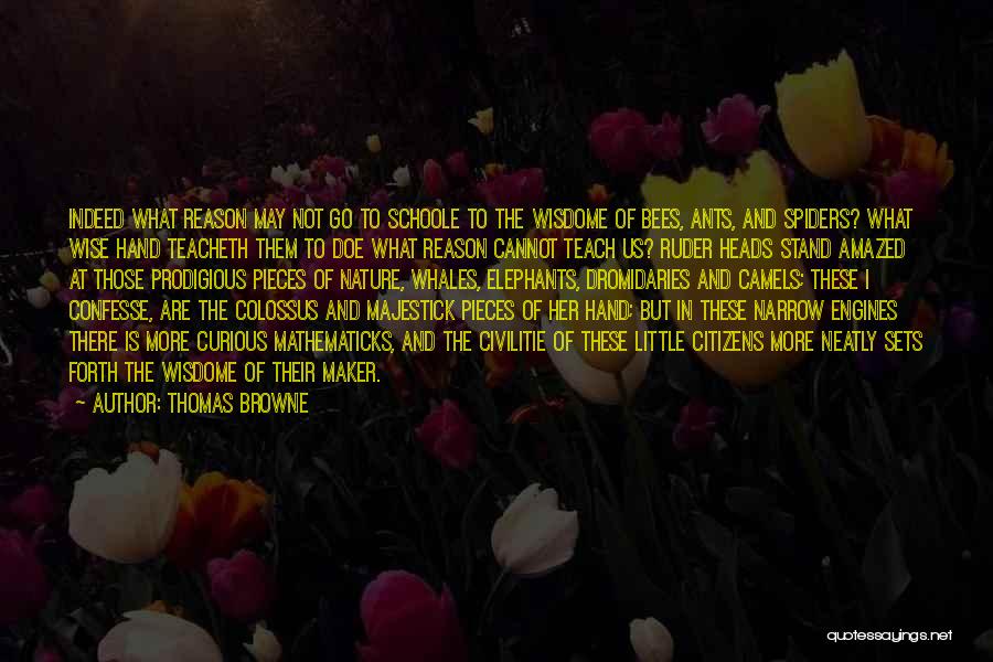 Camels Quotes By Thomas Browne