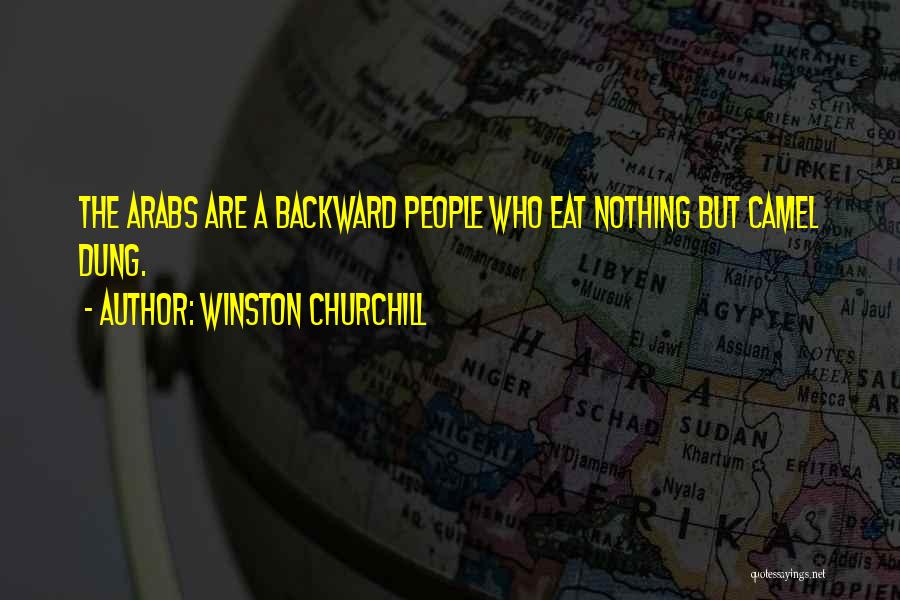 Camels Quotes By Winston Churchill